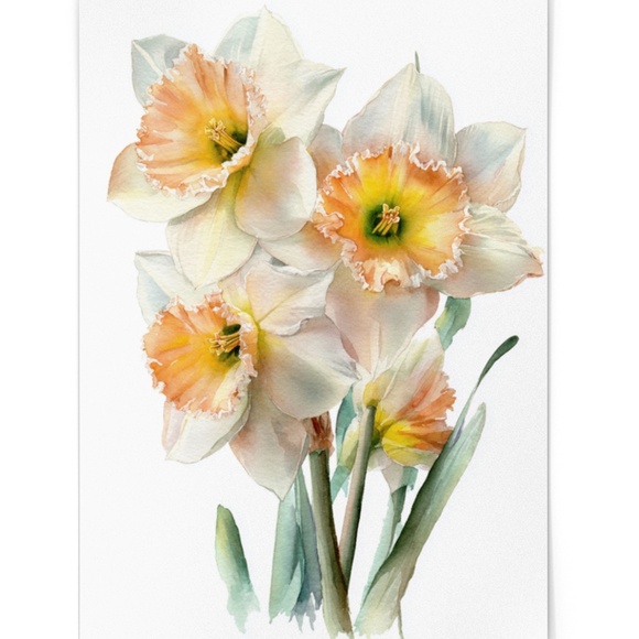 Watercolor Daffodils Flowers Wall Art Illustration Print Poster Unframed - Picture 6 of 6